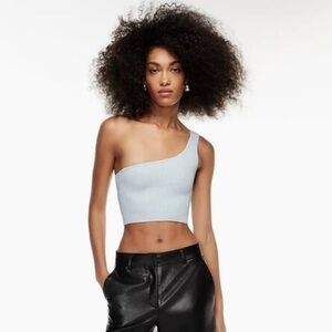 Aritzia crop top